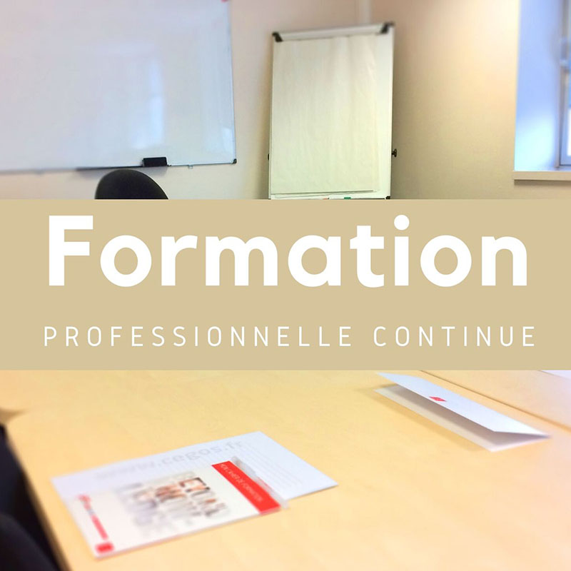 Formation professionnelle ou formation continue ?